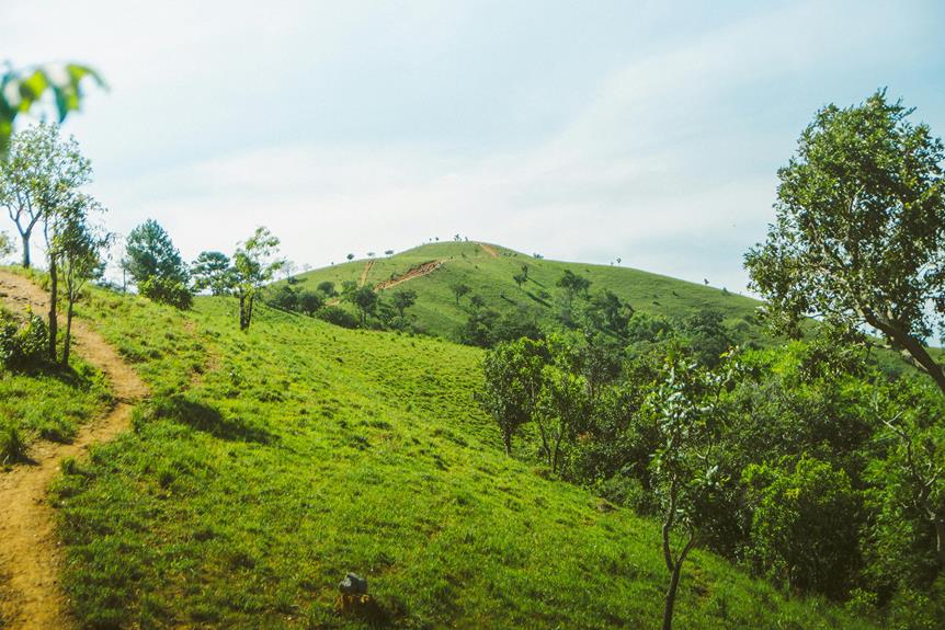 celebrity visits palestinian refugees