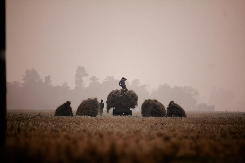 comedian aubrey plaza s heritage