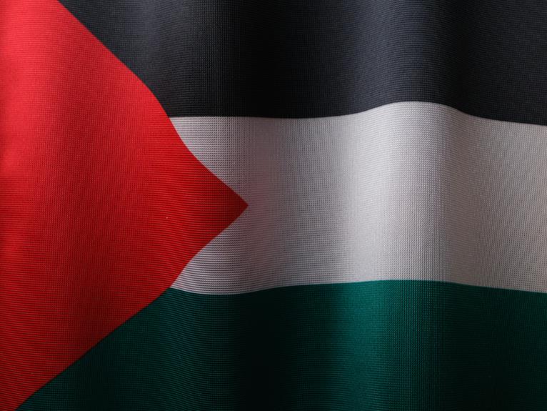 copy palestine flag image