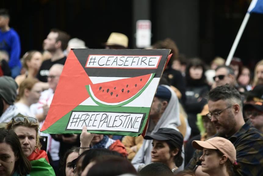 support for palestinian liberation